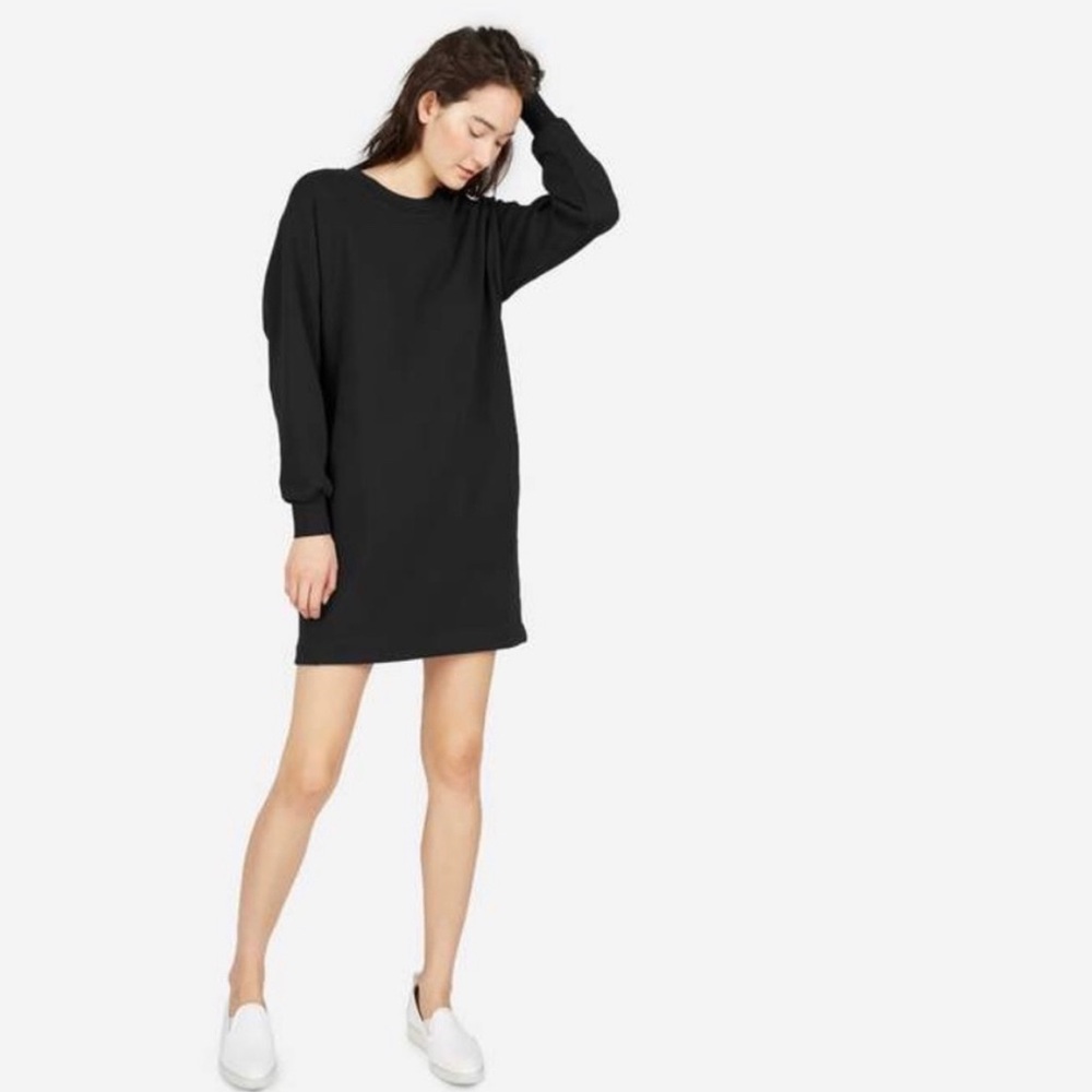 Everlane Classic French Terry Crew Neck Dress